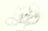An illustration from Midsummer Eve: a fairy tale of love (1848)