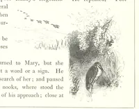 Picture 141 of 192 from Midsummer Eve: a fairy tale of love (1848), leaf 216
