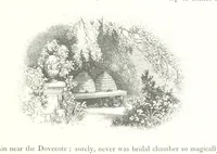 An illustration from Midsummer Eve: a fairy tale of love (1848)