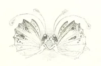 An illustration from Midsummer Eve: a fairy tale of love (1848)