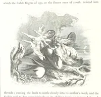 An illustration from Midsummer Eve: a fairy tale of love (1848)