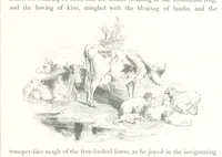 An illustration from Midsummer Eve: a fairy tale of love (1848)