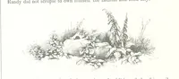 An illustration from Midsummer Eve: a fairy tale of love (1848)