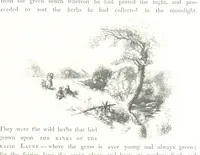 An illustration from Midsummer Eve: a fairy tale of love (1848)