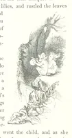 An illustration from Midsummer Eve: a fairy tale of love (1848)