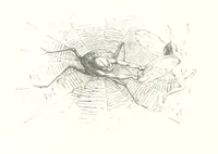 An illustration from Midsummer Eve: a fairy tale of love (1848)