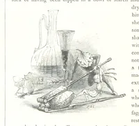 An illustration from Midsummer Eve: a fairy tale of love (1848)