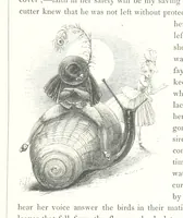 An illustration from Midsummer Eve: a fairy tale of love (1848)