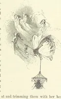 An illustration from Midsummer Eve: a fairy tale of love (1870)