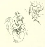 An illustration from Midsummer Eve: a fairy tale of love (1870)