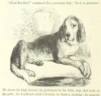 An illustration from Midsummer Eve: a fairy tale of love (1870)
