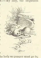 An illustration from Midsummer Eve: a fairy tale of love (1870)