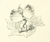 An illustration from Midsummer Eve: a fairy tale of love (1870)