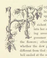 An illustration from Midsummer Eve: a fairy tale of love (1870)