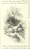 An illustration from Midsummer Eve: a fairy tale of love (1870)