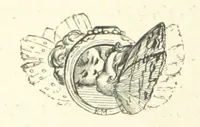 An illustration from Midsummer Eve: a fairy tale of love (1870)