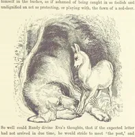 An illustration from Midsummer Eve: a fairy tale of love (1870)