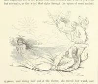 An illustration from Midsummer Eve: a fairy tale of love (1870)