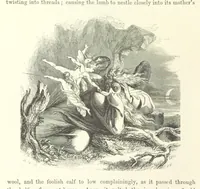 An illustration from Midsummer Eve: a fairy tale of love (1870)