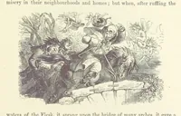 An illustration from Midsummer Eve: a fairy tale of love (1870)
