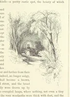 An illustration from Midsummer Eve: a fairy tale of love (1870)