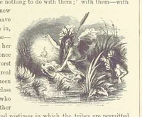 An illustration from Midsummer Eve: a fairy tale of love (1870)
