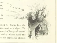 An illustration from Midsummer Eve: a fairy tale of love (1870)
