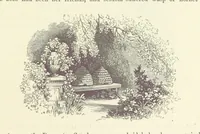 An illustration from Midsummer Eve: a fairy tale of love (1870)