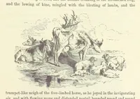 An illustration from Midsummer Eve: a fairy tale of love (1870)