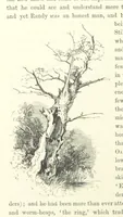 An illustration from Midsummer Eve: a fairy tale of love (1870)