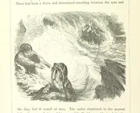 An illustration from Midsummer Eve: a fairy tale of love (1870)