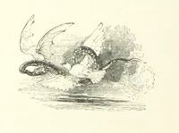 An illustration from Midsummer Eve: a fairy tale of love (1870)
