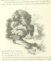 An illustration from Midsummer Eve: a fairy tale of love (1870)