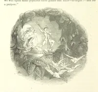 An illustration from Midsummer Eve: a fairy tale of love (1870)