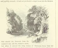 An illustration from Midsummer Eve: a fairy tale of love (1870)