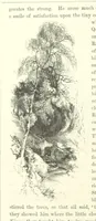 An illustration from Midsummer Eve: a fairy tale of love (1870)