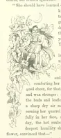 An illustration from Midsummer Eve: a fairy tale of love (1870)