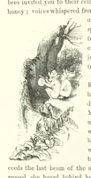 An illustration from Midsummer Eve: a fairy tale of love (1870)
