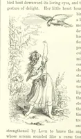 An illustration from Midsummer Eve: a fairy tale of love (1870)