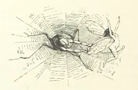 An illustration from Midsummer Eve: a fairy tale of love (1870)