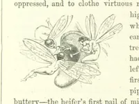 An illustration from Midsummer Eve: a fairy tale of love (1870)