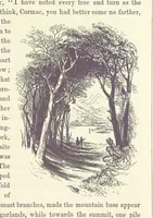 An illustration from Midsummer Eve: a fairy tale of love (1870)