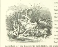 An illustration from Midsummer Eve: a fairy tale of love (1870)