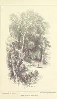 An illustration from Midsummer Eve: a fairy tale of love (1870)