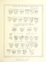 An illustration from A history of the town and parish of Nantwich, or Wich-Malbank, in the county palatine of Chester (1883)