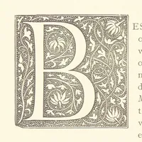 An illustration from A history of the town and parish of Nantwich, or Wich-Malbank, in the county palatine of Chester (1883)
