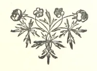An illustration from Barbara Leybourne; a story of eighty years ago (1889)