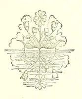 An illustration from Hanbury Mills. A study of contrasts. By the author of “Lady Betty” [C. R. Coleridge]. With ... illustrations by H. W. Petherick (1872)