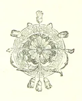 An illustration from Hanbury Mills. A study of contrasts. By the author of “Lady Betty” [C. R. Coleridge]. With ... illustrations by H. W. Petherick (1872)
