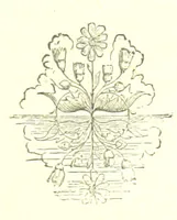 An illustration from Hanbury Mills. A study of contrasts. By the author of “Lady Betty” [C. R. Coleridge]. With ... illustrations by H. W. Petherick (1872)